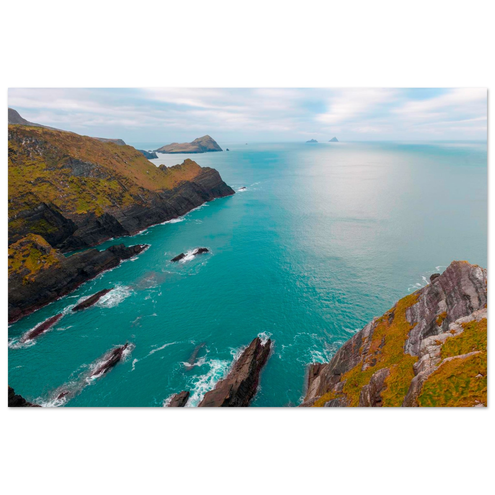 1271e267-eccf-4516-98f2-5e57ee6fee8b