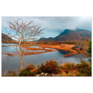 29afc275-4968-4262-9355-0df4e55fcc4c