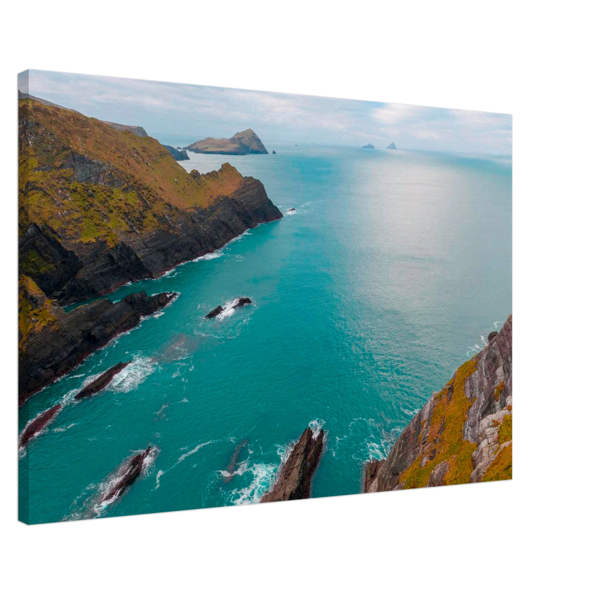 3ec3ce19-5f51-4727-8aa0-4bfe76338ae5