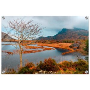 66a43237-4c36-4970-9141-8a7bec89a4a0