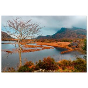 b26d51f1-0395-438d-a4d2-f2c1ef6941bb