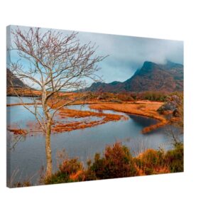 be3a63e1-746a-4ae0-9684-1d04b9ec2738