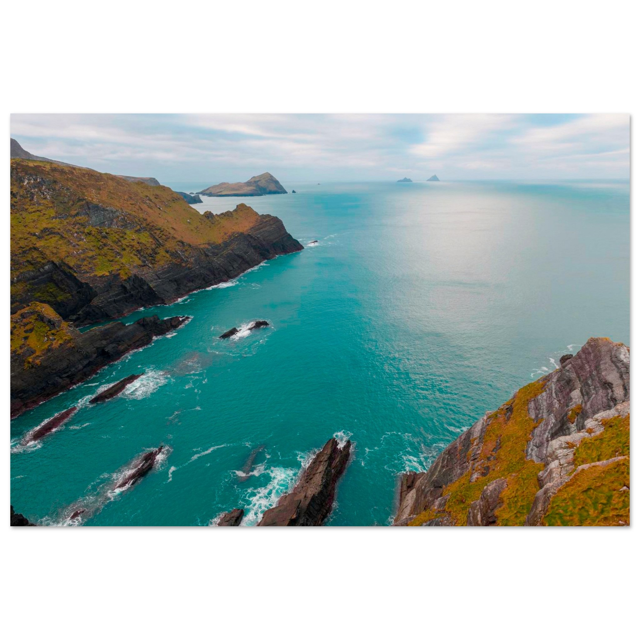 e8261aba-7e4d-4efa-a473-a0a149be6f9a