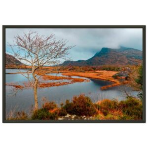 e8df0766-f813-4c53-8ce5-bfc90b4c7137