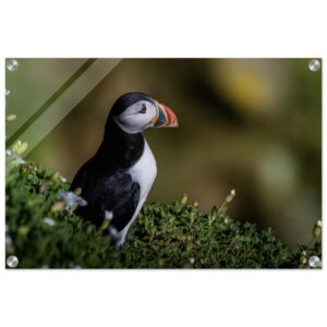 171b396d-b41c-40e2-bb8d-5b9b4f5fb9b0