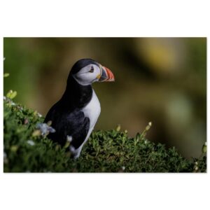 9684773b-cab1-48d5-a8cb-15a1f7d63c7f