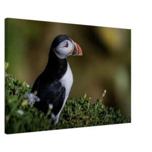 aa7168d7-a6a8-4383-9e92-ef49a99e9d43