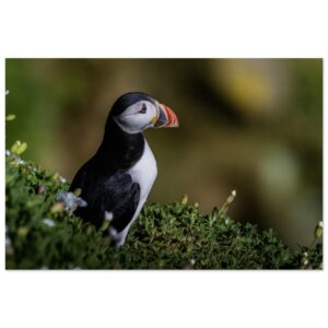 ae80b6bd-5ef8-41f7-87d9-ef170ac9ece3