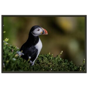 e239fb5e-f128-4b86-85a5-691af8feb446