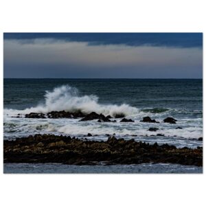 e6f9e2a4-4546-4044-b582-28bcaab55bd5